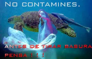 plastico