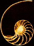 Geometria