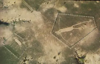 lineas de nazca