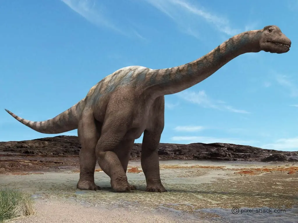 Argentinosaurus el dinosaurio mas grande