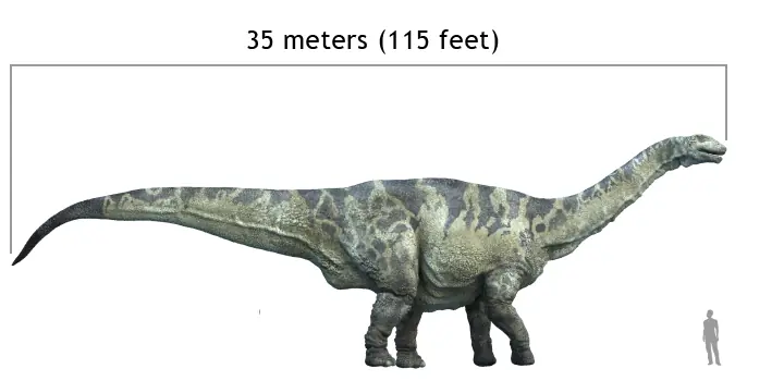 argentinosaurio