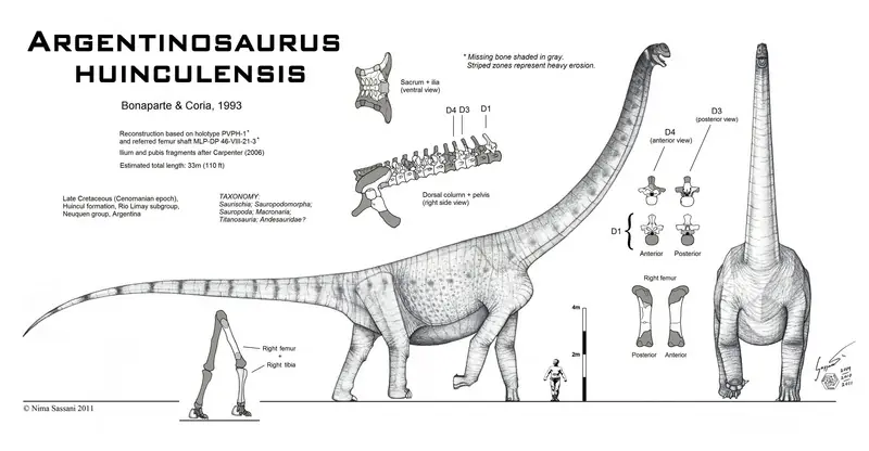 argentinosaurus
