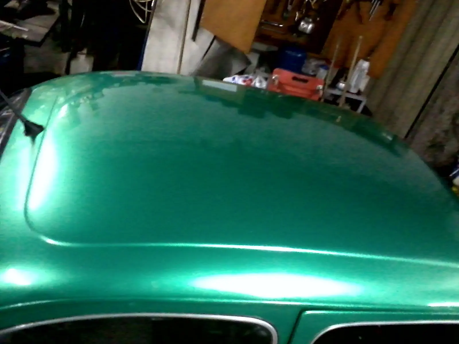 fiat 600