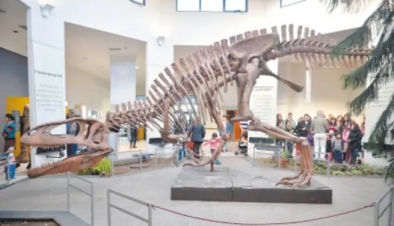 Te muestro el Argentinosaurus