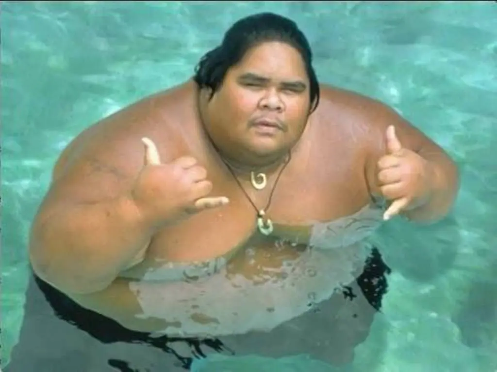 gordos