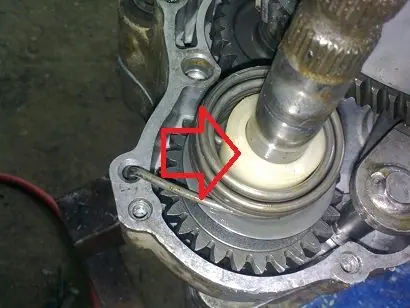 muestro
