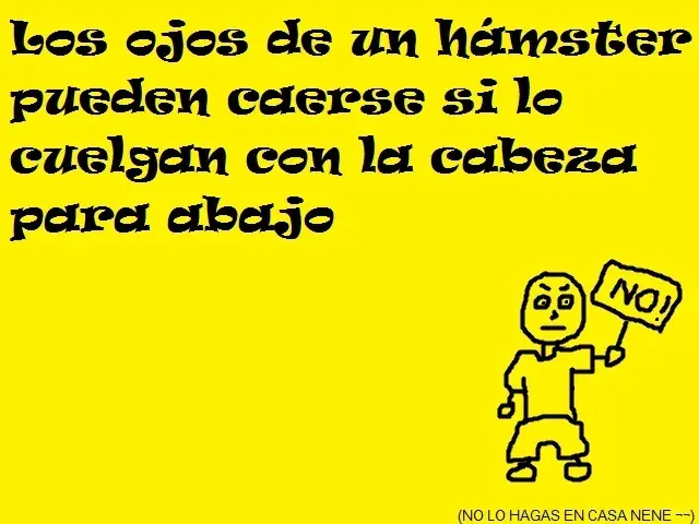 Mega colección de datos curiosos