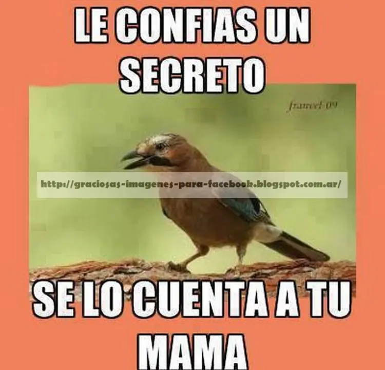 +5 Si Te Ríes Con Alguna