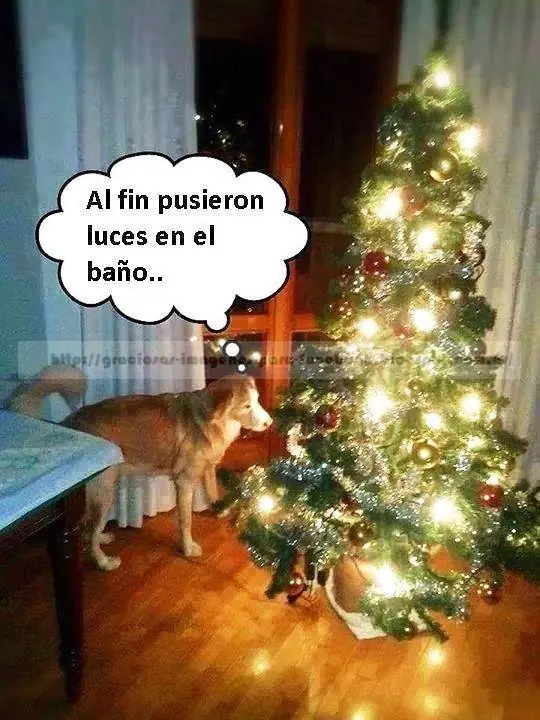 +5 Si Te Ríes Con Alguna