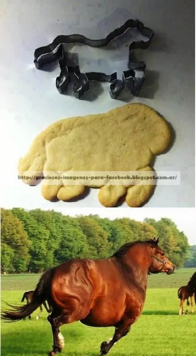 divertidas
