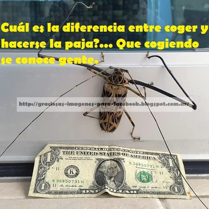 chistosas