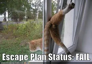 fail