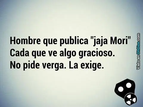 Recopilado de imágenes graciosas para pasar la tarde