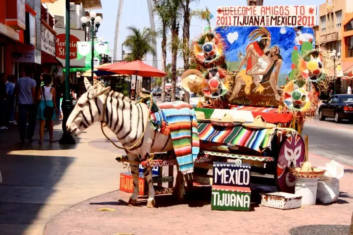 cosas mexicanas