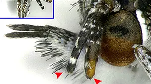 Diez cosas que probablemente no sabía la semana pasada