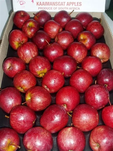 variedad
