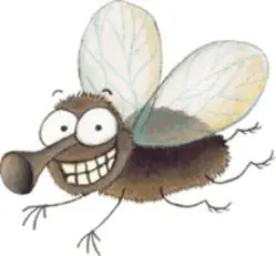 Aprende 40 cosas (Curiosidades) antes de salir de este post!