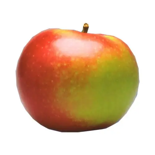 variedad