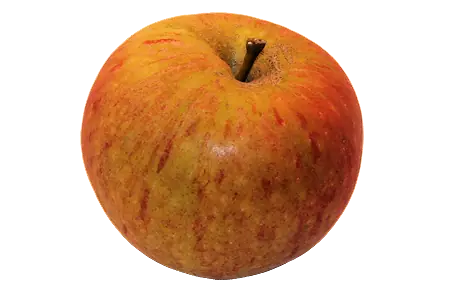 manzana