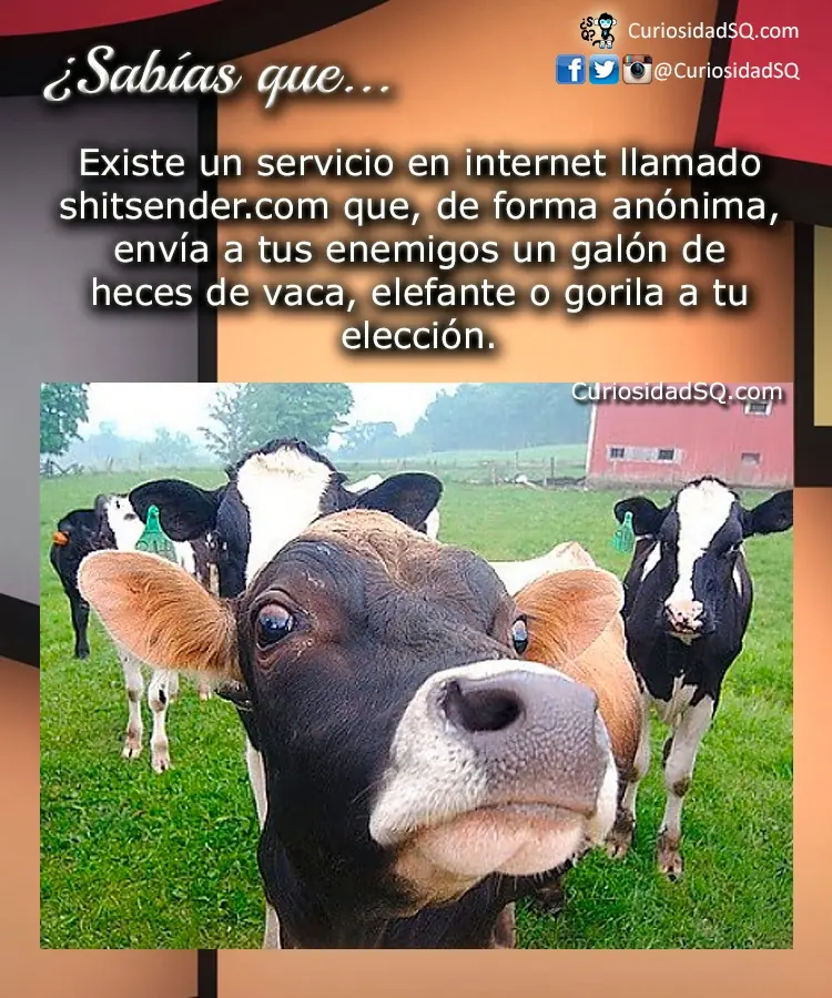 curiosidades