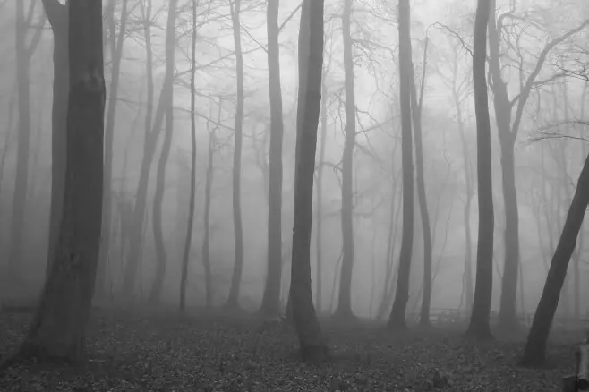 Slender man (el hombre delgado)