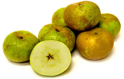 Variedades de manzanas [MegaInfoPost]