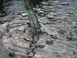 Aprende 40 cosas (Curiosidades) antes de salir de este post!