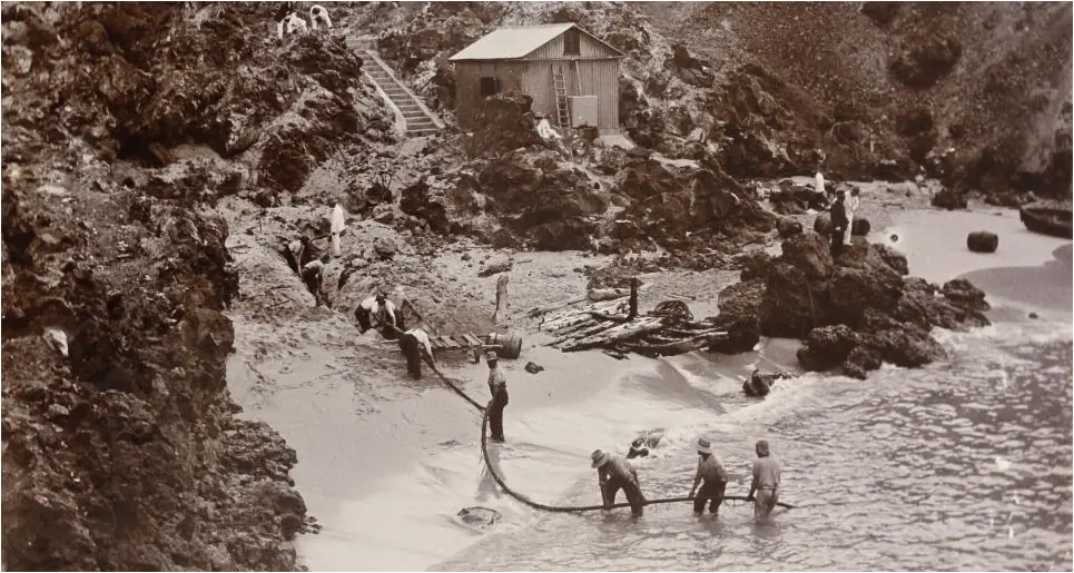 100 curiosidades históricas. Megapost.