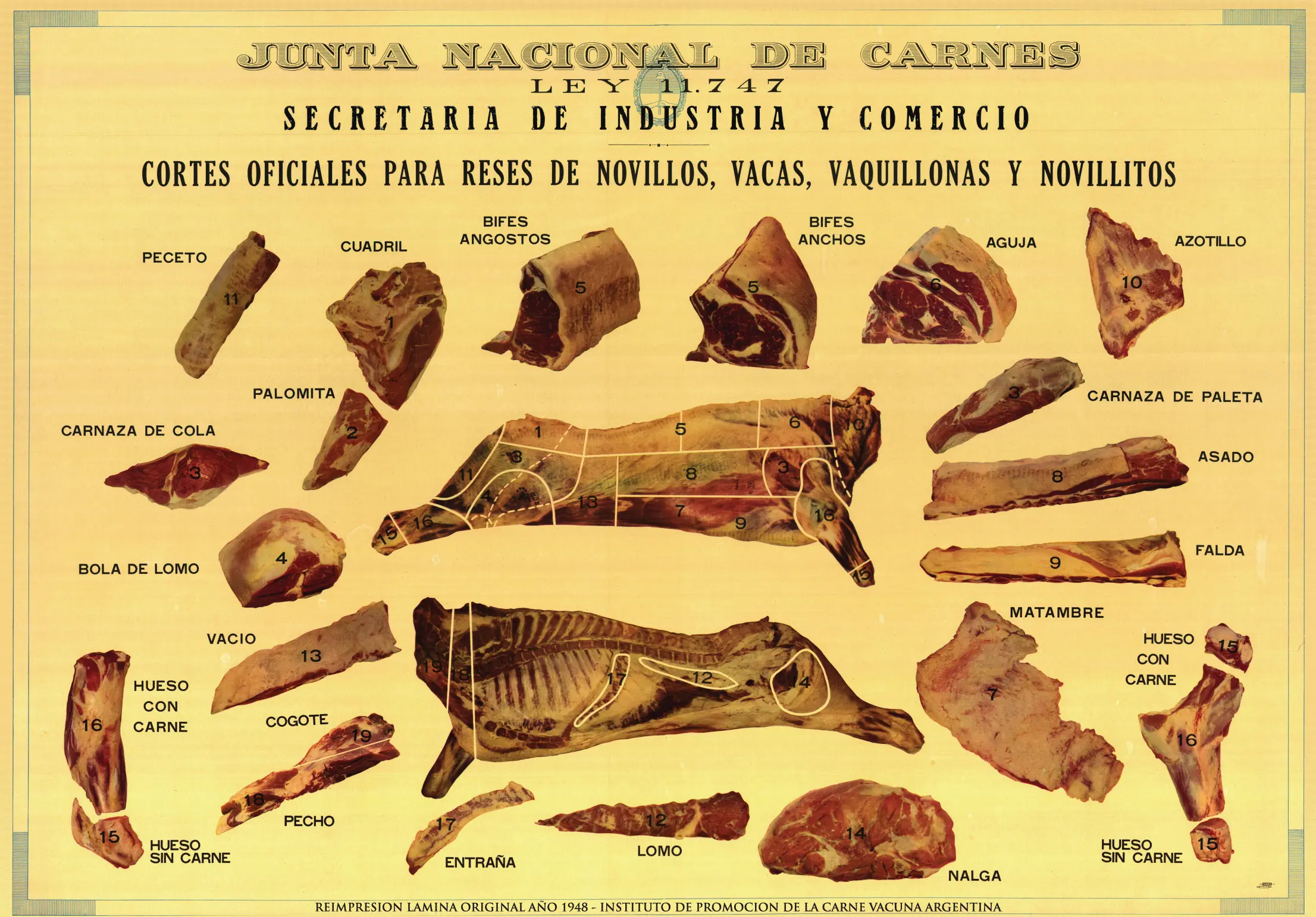 100% carne argentina!