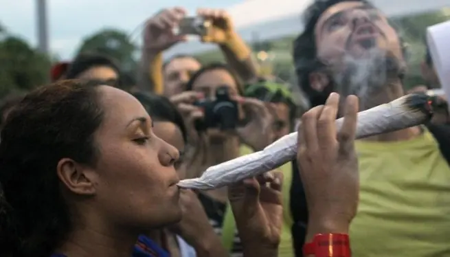 cannabis