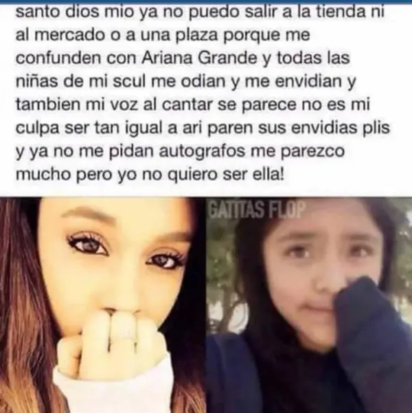 Lince Te Apuestos Tus Puntos Que Te Sobraron a Que Te Reis!