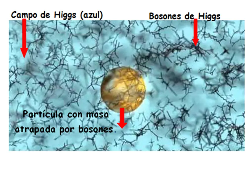 fisica