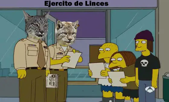 Taringueros Linces