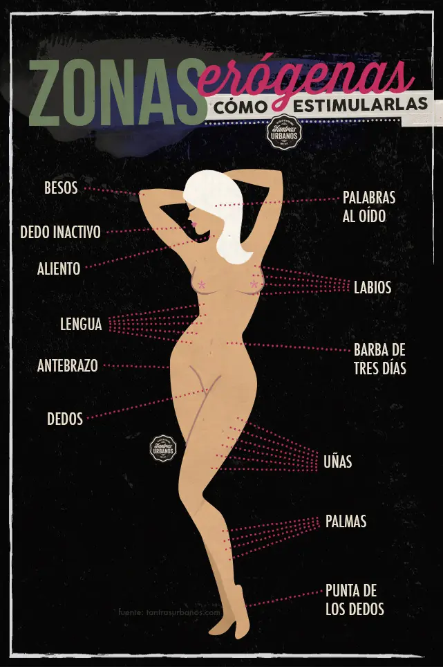 zonas erogenas