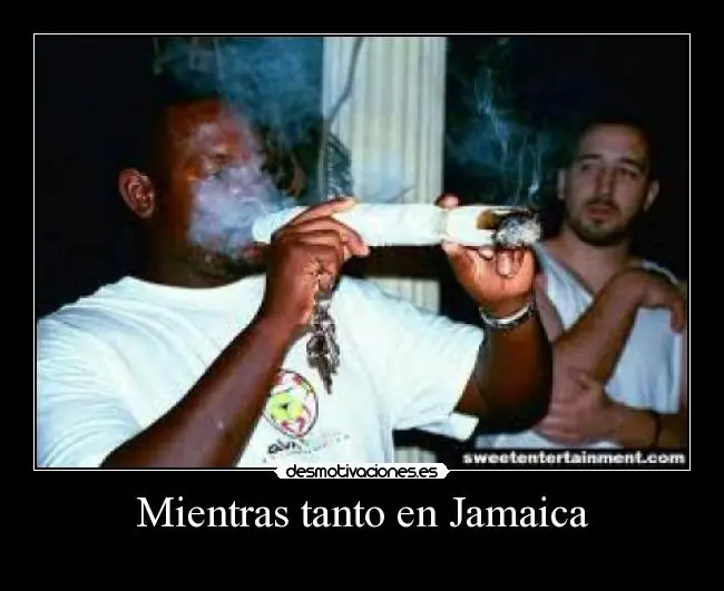 mientras tanto en...,gifs (MEGAPOST)