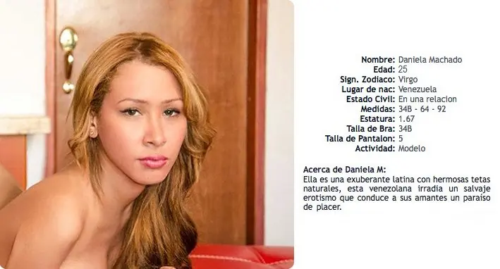 modelos modelos