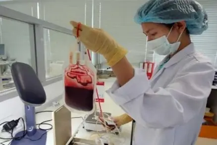 Hemoterapia Hemoterapia