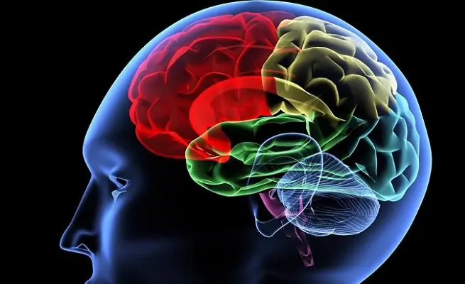 Las cosas que sabemos afectan nuestra inteligencia