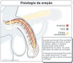 Las 10 fobias