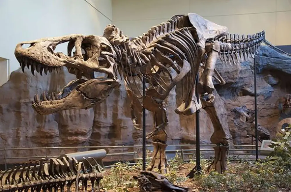 dinosuarios