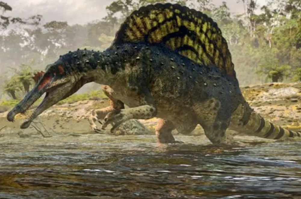 Tiranosaurio Rex