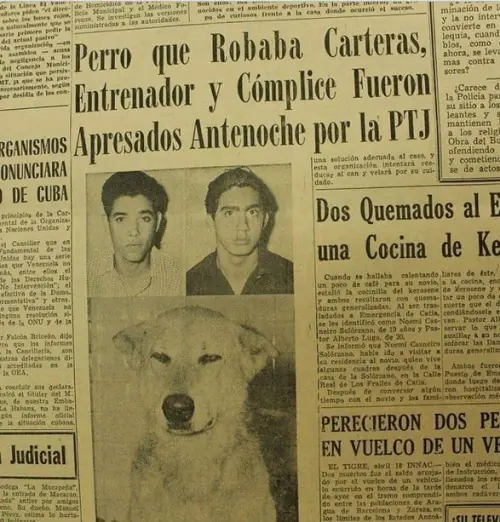 Un post sin sentido..pero divertido (parte 3)