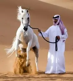 mundo arabe
