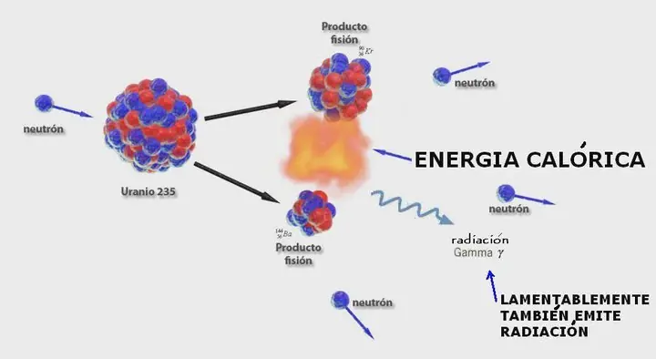La respuesta que buscas