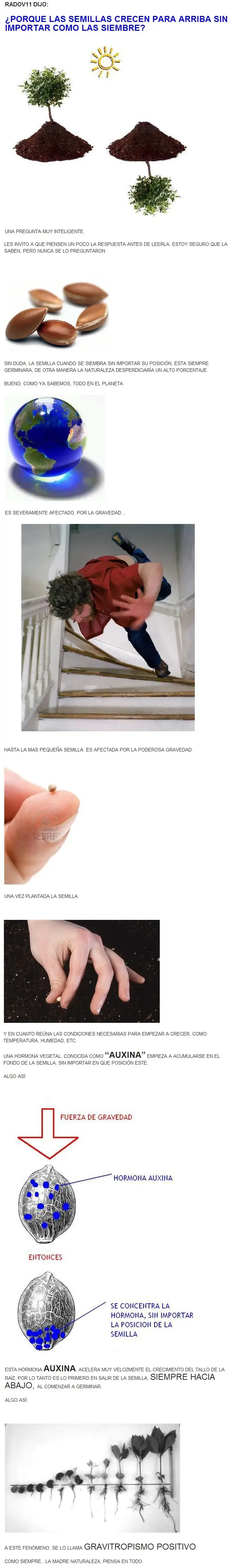 La respuesta que buscas