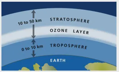 La respuesta que buscas
