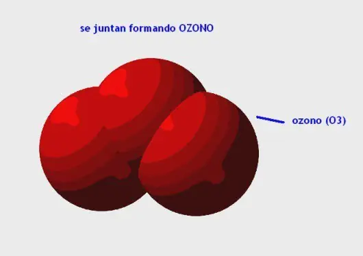 la respuesta que buscas