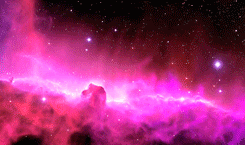 la respuesta que buscas