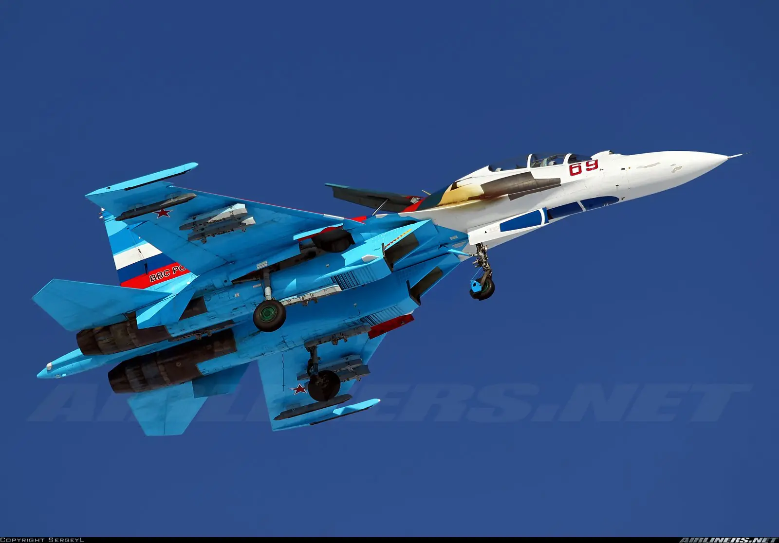 Caza ideal para la fuerza aerea argentina