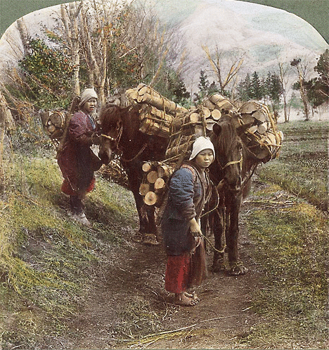 Japón en 1850 | Imágenes Sorprendentes en 3D